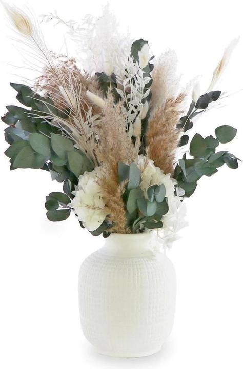 Soli Collection Lara (Trockenblumen)