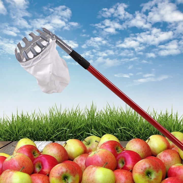 Actual product image Dema Obstpflücker Obstsammler Obsternter Apfelpflücker Apfelernter mit Teleskopstiel