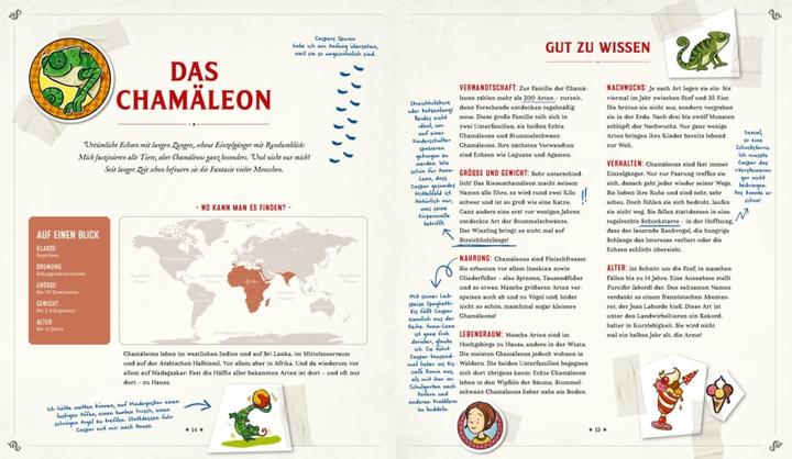 Actual product image Die Schule der magischen Tiere: Mister Morrisons gesammeltes Tierwissen (German, Martin Verg, Margit Auer, 2022)