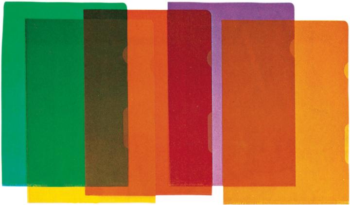 Actual product image BüroLine Viewing folders (A4, 100 x)