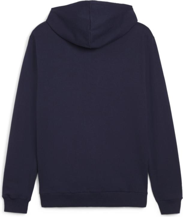Puma teamGOAL Casuals Hooded Jacket