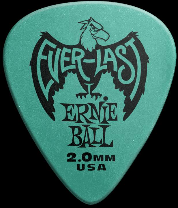 Immagine prodotto Ernie Ball Everlast (12 x, 2 mm)