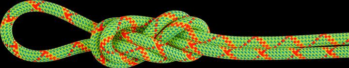 Produktbild Mammut 8.0 Alpine Core Protect Dry Rope (70 m)