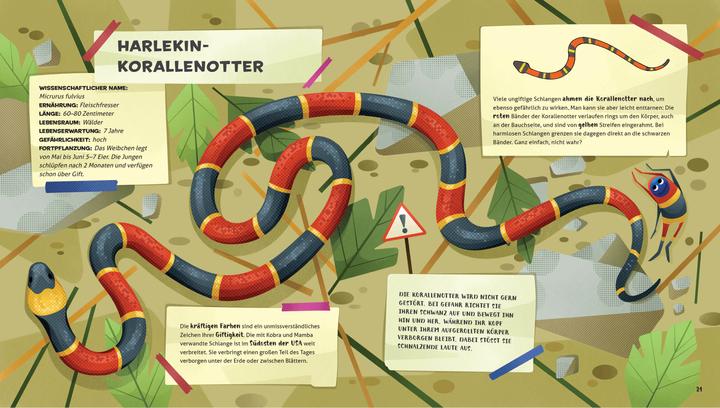 Actual product image National Geographic Besonders und wunderbar: Reptilien (German, Cristina Banfi, Claudia Theis-Passaro, 2021)