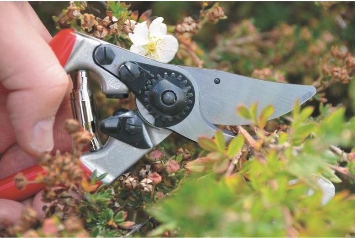 Image du produit Felco 9