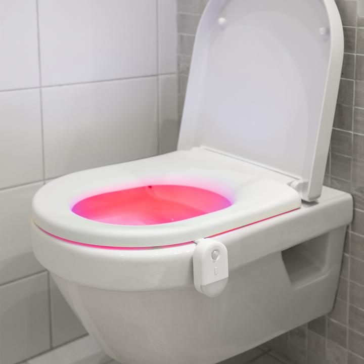 Actual product image Star Trading Toilet light