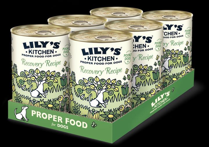Actual product image Lily's Kitchen Recovery Recipe (Adult, 1 pcs., 2760 g)