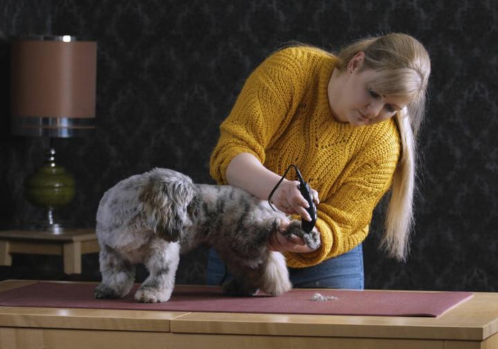 Productafbeelding Moser Tondeuse REX Mini (Hond, Kat)