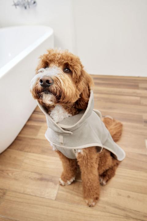 Image du produit Palopa Peignoir de bain pour chiens (S, Peignoir pour chien)