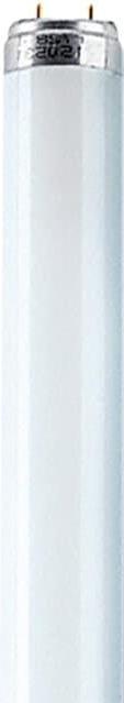 Produktbild Osram Röhre (G13, 30 W, 2400 lm, 1 x, G)
