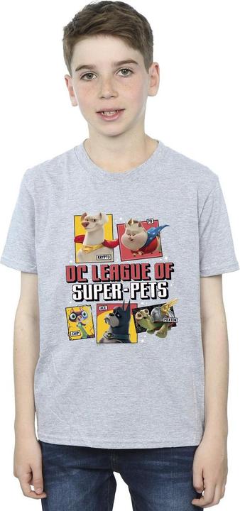 Actual product image Boys DC League Of Super-Pets Profile T-Shirt (152, 158)