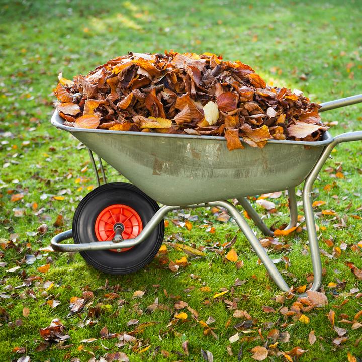 Produktbild Relaxdays Schubkarrenrad