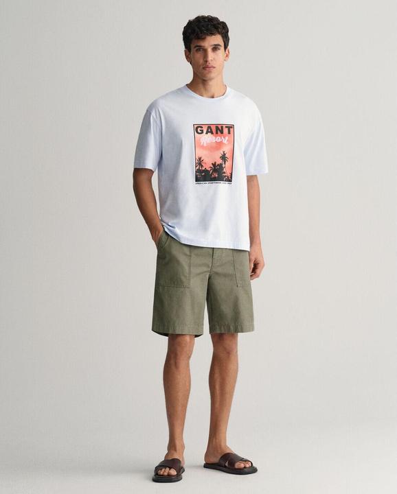 Image du produit GANT t-hirt wahed graphic (S)