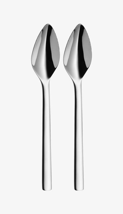 Actual product image WMF Nuova (2 Piece, Scoops)