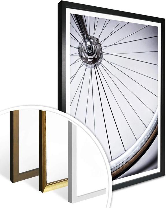 Immagine prodotto Trenddeko Raggi della bicicletta (40 x 50 cm)
