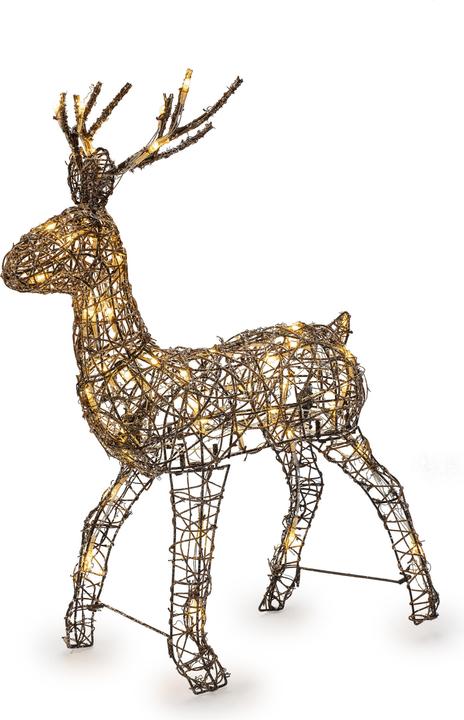 STT Deer