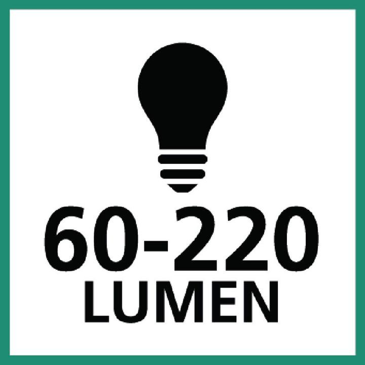 Image du produit Ledlenser W4R Travail (220 lm)
