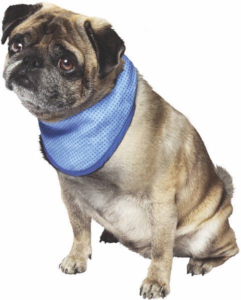 Actual product image Nobby Cooling scarf (S, Dog coat)