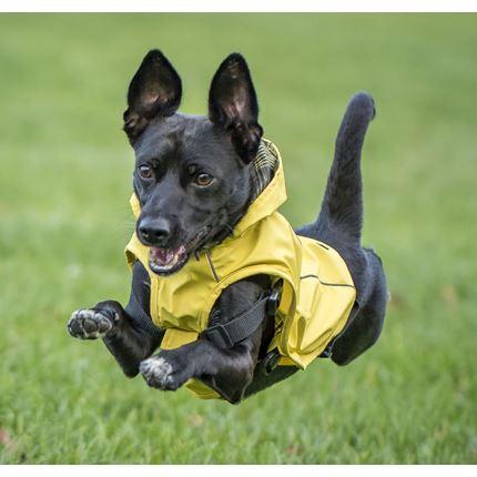Produktbild Chiara Scotty (L, Hundemantel)