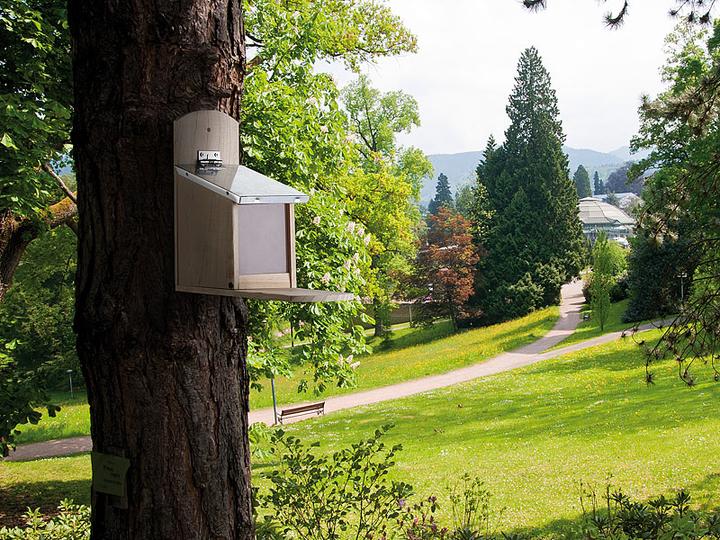 Actual product image Royal Gardineer Set of 2 weatherproof squirrel feeder, metal roof, kit