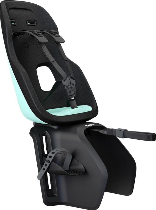 Mint, Black