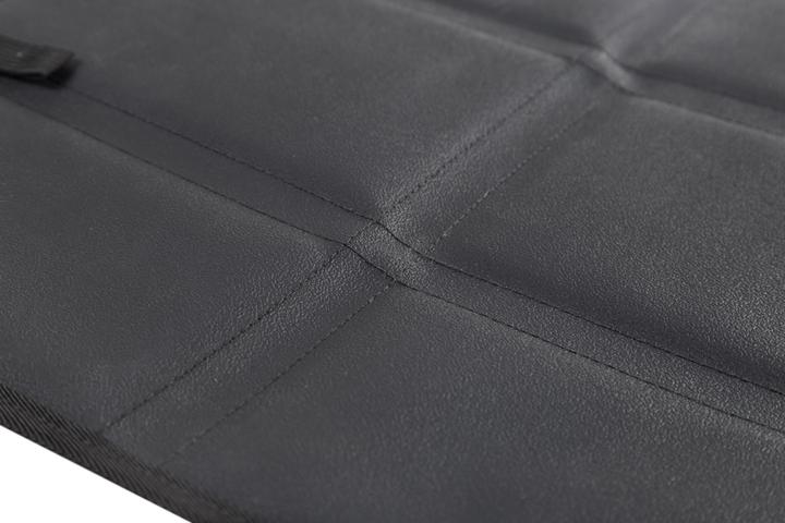 Actual product image Baby Dan BabyDan - High Car Seat Protecter - Black