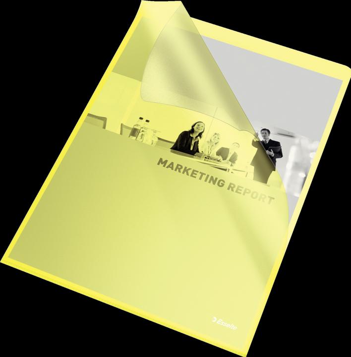 Immagine prodotto Leitz Esselte (A4, 100 x)