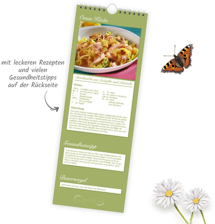 Actual product image TrötschMaxi-StreifenkalenderOmasKalender2026 (German)
