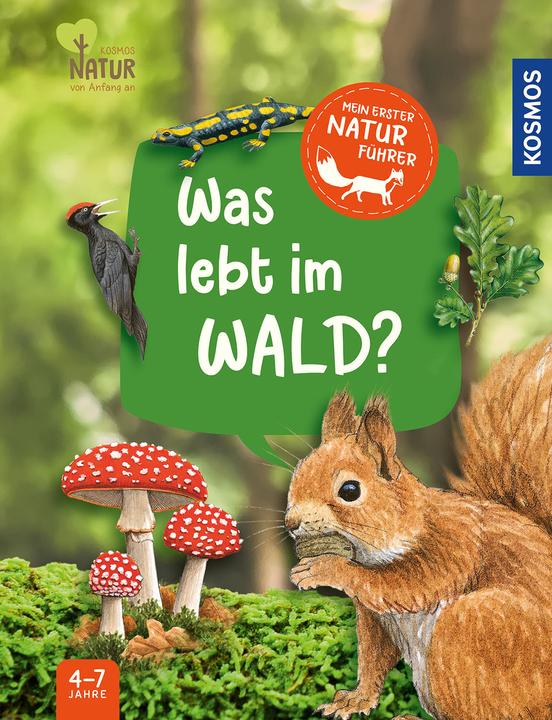 Actual product image Kosmos Mein erster Naturführer, Was lebt im Wald? (German, Julia Hiller, 2023)