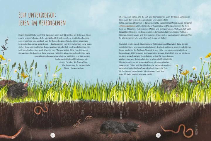 Actual product image Die Wildwiese (German, Annette Zacharias, Angelika Huber-Janisch, 2022)