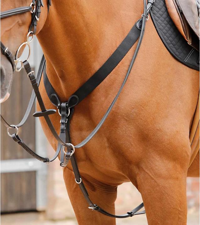 Immagine prodotto Premier Equine Baressa