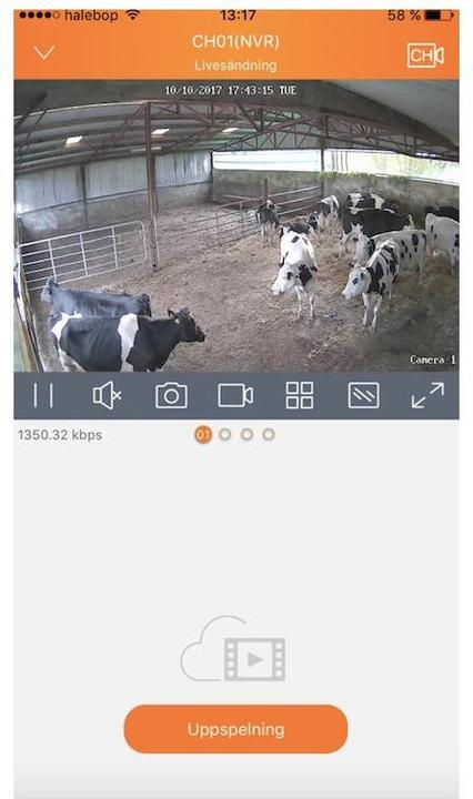 Produktbild LudaFarm Stallkamera Farm Cam HD (1920 x 1080 Pixels)
