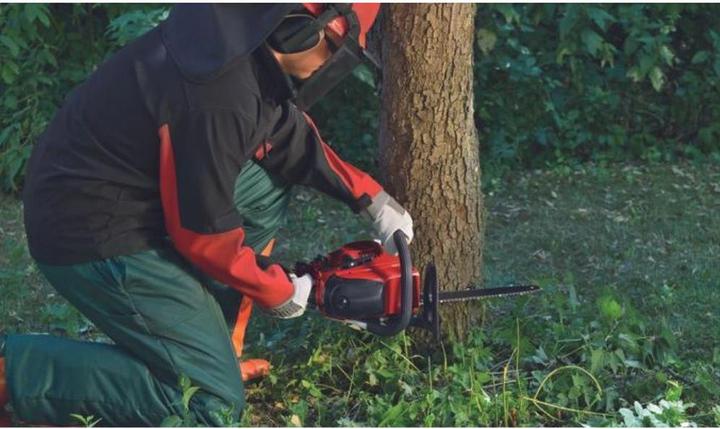 Actual product image Einhell GC-PC 2040 I (Petrol chain saw)
