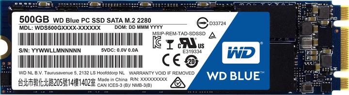 WD Blue (500 Go, M.2)