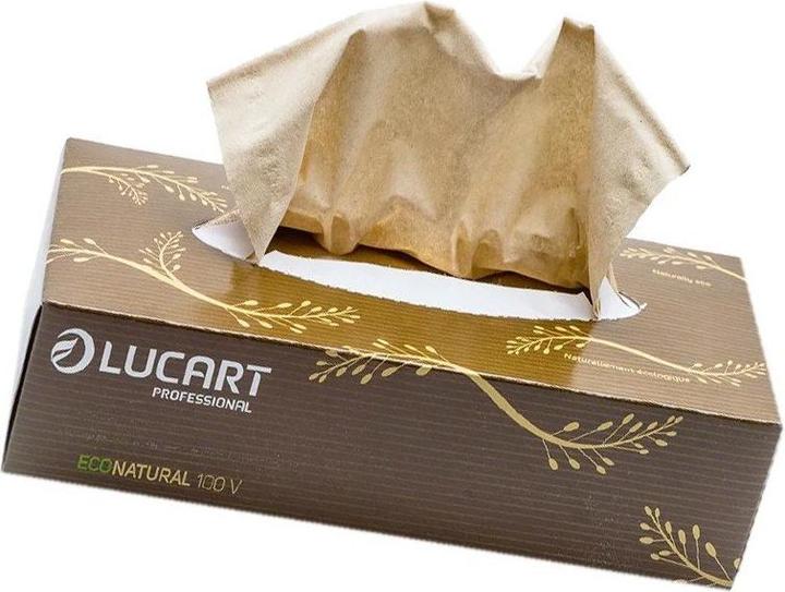 Image du produit Lucart Mouchoirs cosmétiques 2 plis Econatural