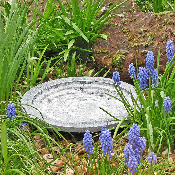 Actual product image Wildlife World Oasis bird bath 30 x 30 x 5.5 cm