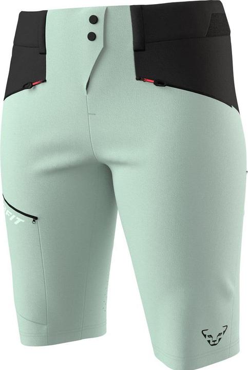 Actual product image Dynafit Transalper Dynastretch Shorts (L)