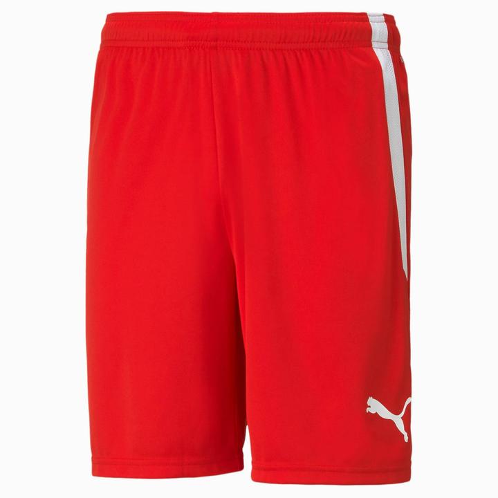 Image du produit Puma Short teamLIGA-704924 (L)