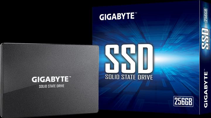 Immagine prodotto Gigabyte GP-GSTFS31256GTND (256 GB, 2.5")
