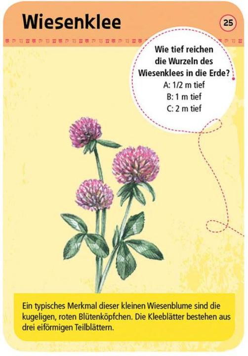 Produktbild 50 heimische Blumen (Deutsch)