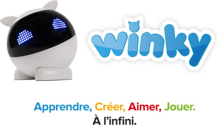Actual product image Mainbot Robot Winky (French)