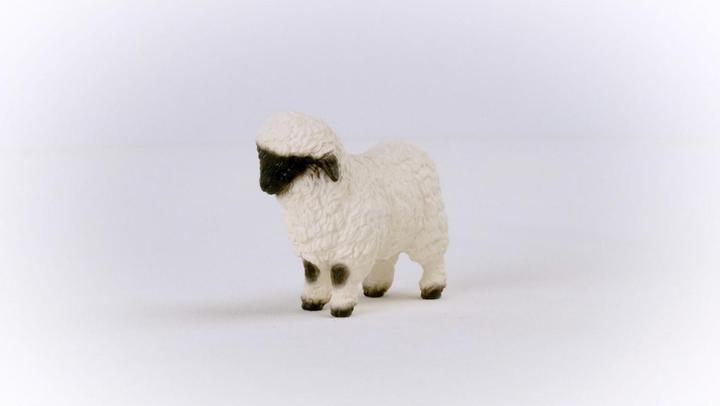Actual product image Schleich Valais black-nosed sheep