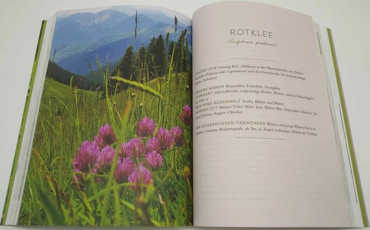 Image du produit Meine Wildkräuter (Allemand, Martina Fischer, Dorothea Steinbacher, 2023)