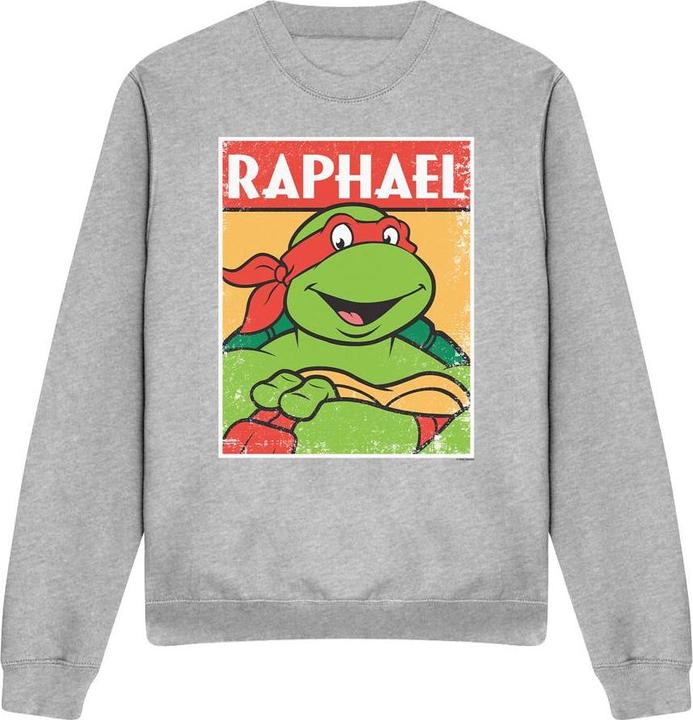 Image du produit Teenage Mutant NT - Sweat - Adulte (S)