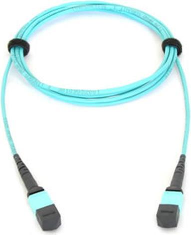 Actual product image Allied Telesis 40G MTP CABLE FOR AT-QSFPSR 5M (5 m)
