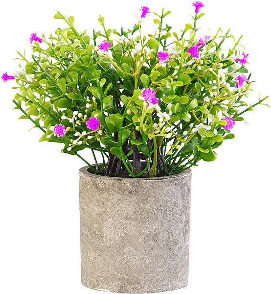 Produktbild Carlo Milano 6er Set Dekopflanzen für Schreibtisch (7.50 cm)