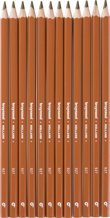 Actual product image Bruynzeel Colored pencil Colorexpress (Ochre)