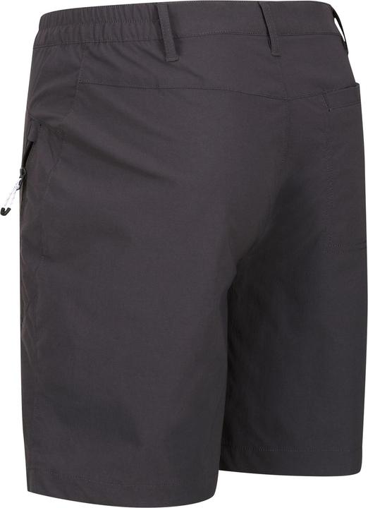 Image du produit Regatta - Short de marche HIGHTON - Homme (44 D)