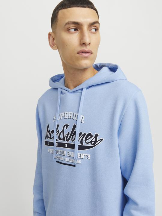 Image du produit Jack & Jones JJELOGO SWEAT HOOD 2 COL 24/25 NOOS (M)