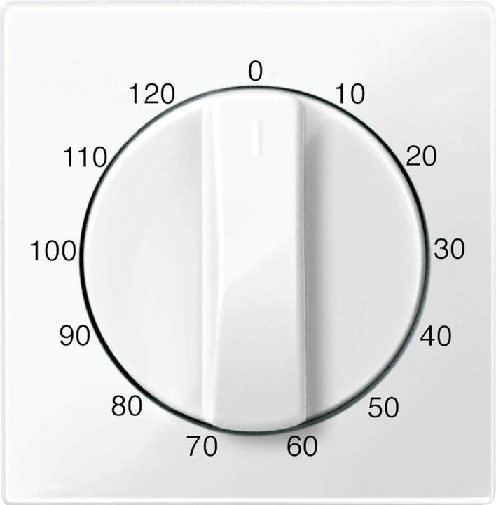 Actual product image Merten 567519 Electric switch White